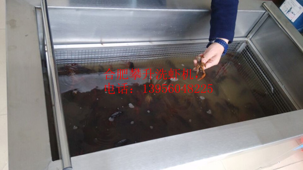 小龍蝦清洗機(jī)